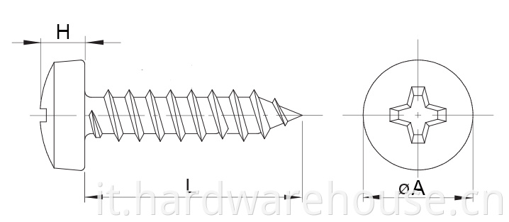 Drawing Self Tapping Screw Phillips Drive D7981